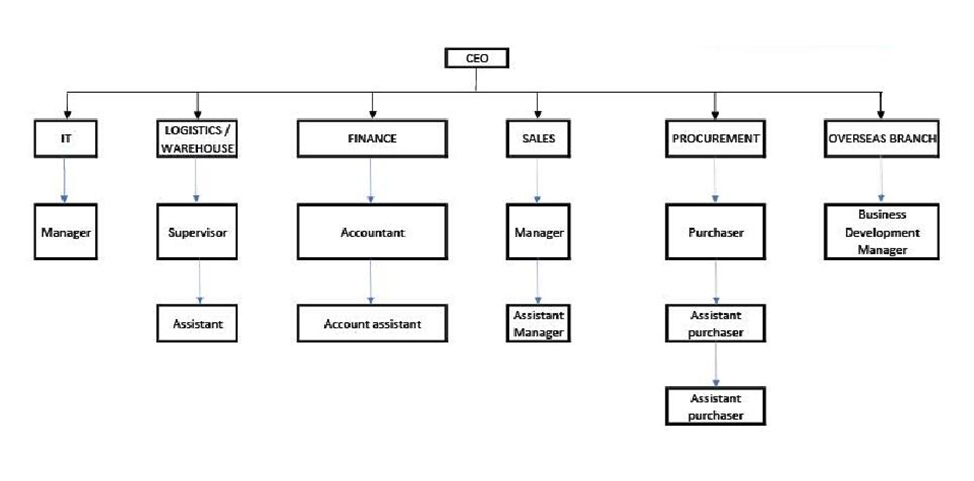 Organization(图1)